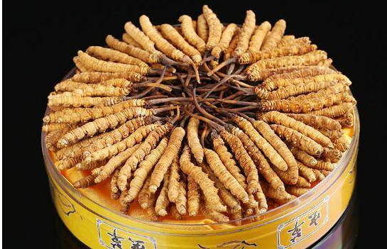 佛山上门回收冬虫夏草